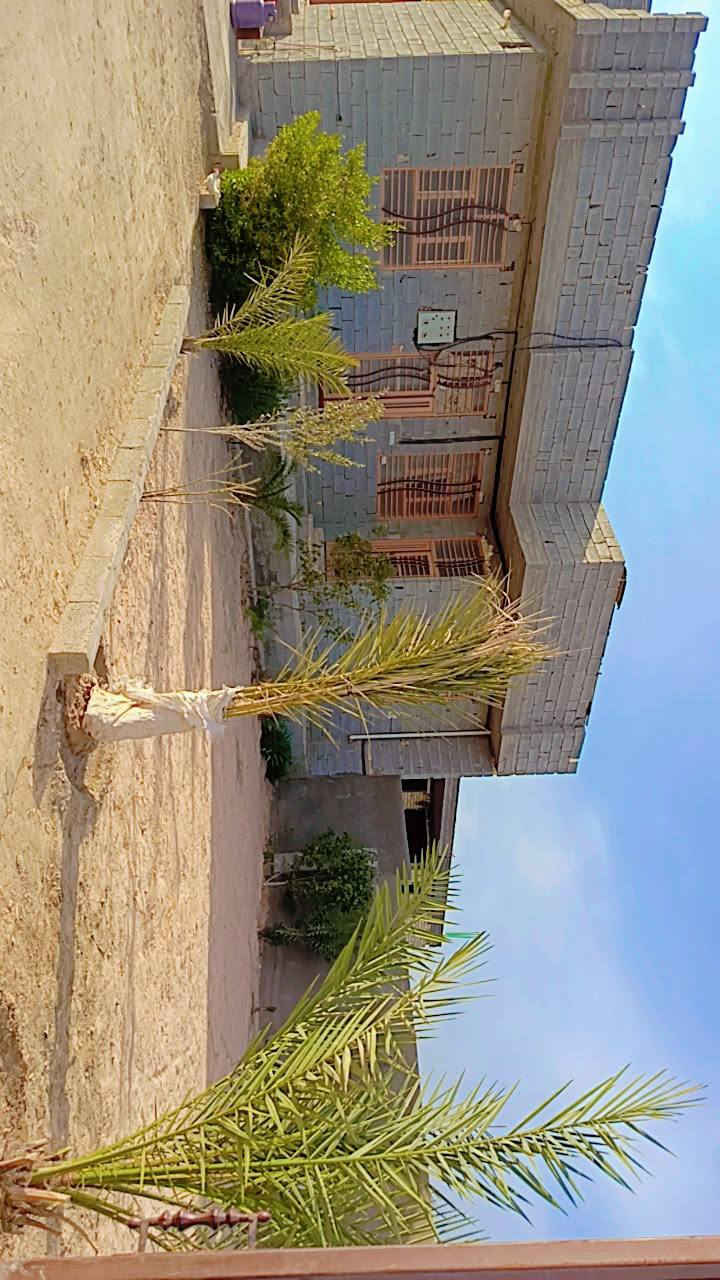 قطعه بمساحة 1050متر سند 25اقرار محكمه مباشر بأسم المشتري تبعد عن الامام 5كيلو تحتوي  ع بيوت عدد 2  و مشتمل هيكل ---مساحة الدار الاول 180متر يتكون من 3غرف نوم مع استقبال وصاله ومجاميع صحيه عدد3 ----- والبيت الثاني بمساحة 100متر يتكون من غرفتين وصاله ومطبخ ومجاميع صحيه عدد2 ----- اضافة الى دار هيكل غير مسقف ------ مع حديقه وكراج سيارات ----- بسعر325 قابل للتفاوض ---- العنوان كربلاء الحسينيه شارع الحافظ قرب مشاتل العتبه للاستفسار ***********
