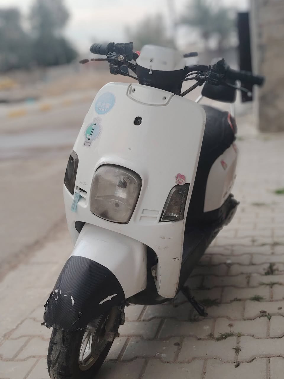 السلام عليكم بوليس للبيع ياباني نوزل موديل 2010🔥
بوشه وبستم 55 شعله ومعدل تشك لكاع🔥
سلف رياضي 55🔥
صارنصهFm🔥
قطره مال دهن مشمشي🔥
قبق فلاوين مشمشي🔥
تعلاوه دبل رياضي🔥
مابيها اي نقص شغل وطلع🔥
السعر 600 وبيها مجال حك الجيه🔥
العنون بغداد الحسينية مال راشديه🔥
***********🔥
