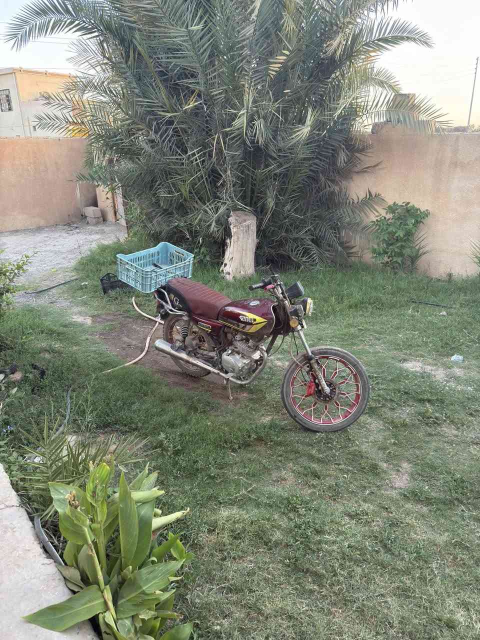 دراجه موديل 24 كير 5 مستعجل على بيعتها سعر 425 بيها مجال
واتساب *********** مكان البوعجيل
