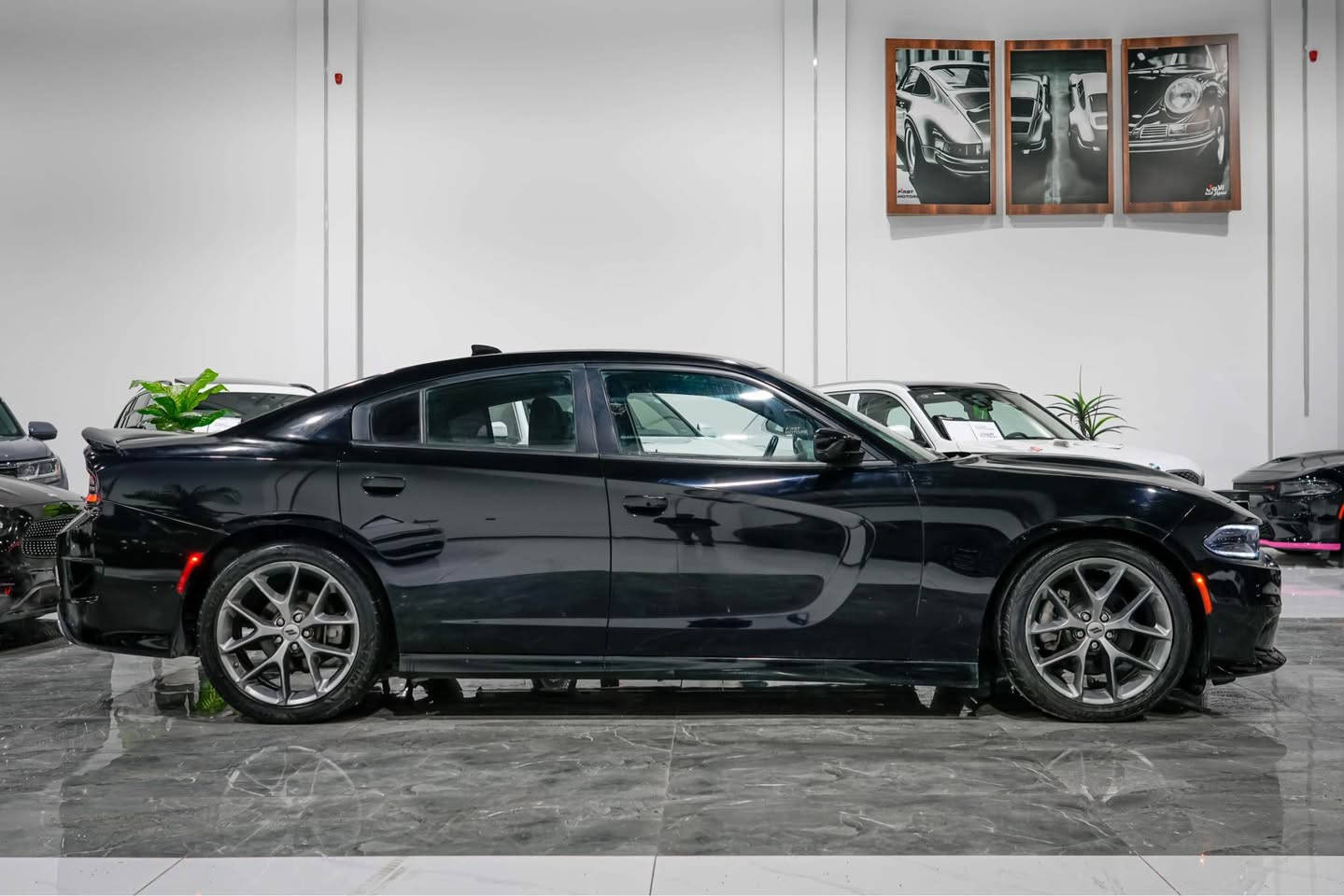 Dodge charger GT 2023 
رقم کاتی 
مکان سیارە اربیل 
بدون صبغ  
سعر 248 ورقە 
حادثها بس دعامیە 
ارباگ سیستم 
مکان سیارە اربیل 
شرکە فیرست موتورس 
***********
*********** أربيل, العراق
