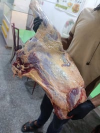 لحم عراقي • توصيل سوق الشيوخ • فلكة الدله