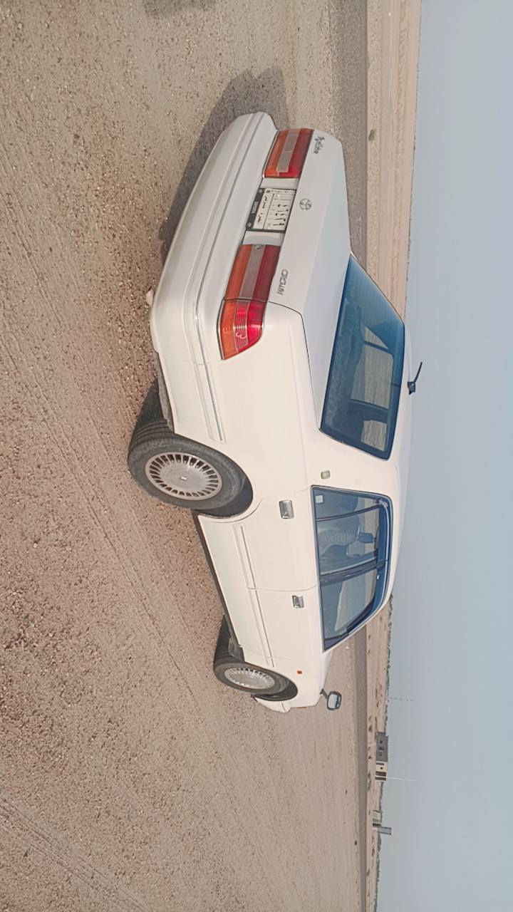 سلام عليكم رأس الثور تكم للبيع
تبريد ثلج حداديه جديده سنويه جديده سنه 2029 
***********
