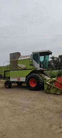 حاصوده • موديل 97 • الديوانية