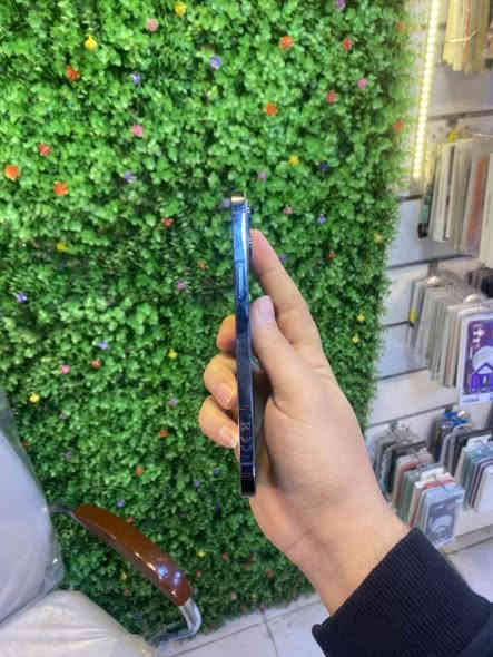 12بروماكس مكفول من تبديل كله بلادي وسعره بسعر اكسm
ذاكره 256 شرق اوسط ماستر بلاديه مامبدل بي اي شي بطاريه88 ملاديه بصمه شغاله شاشه بلاديه ملحقات كامله

كل هذا بسعر ٣٠٠ الف قفل فقط ضهره مكسور واني اسوي الك ب ٢٥ الف فقط او يم غيري بكيفك

عنواني المحل بغداد شارع حيفا قرب مقهى بيروتي مقابل نادي الزوراء الرياضي اسم المحل بربر فون

***********
***********
