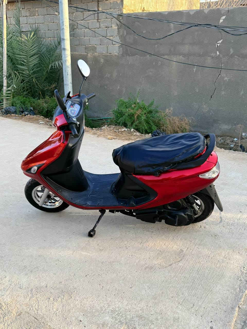 فراشة فحل للبيع جاهزة من كلشي السعر 450 او بيه مجال مكان نجف 
واتساب ***********
