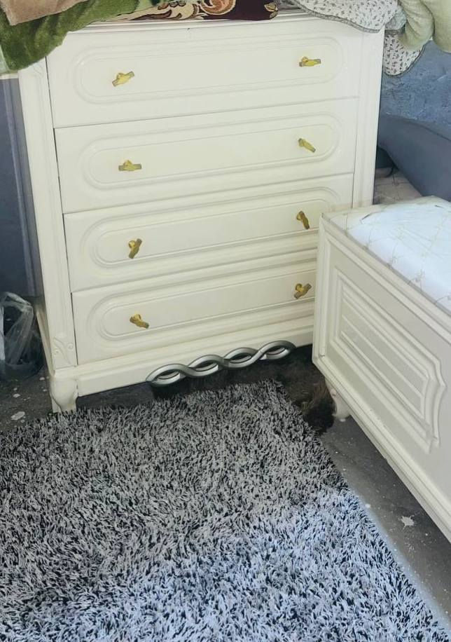 سلام عليكم غرفه اخشاب تزكام  درجة أولى غرفه أخت الجديده  ضخمه كلش إستعمال قليل صار ٦ أشهر من ماخذهيه ضرر بسيط بجامه الزاوية تتبدل سبب البيع لغرض السفر عنوانه النجف العباسية مستعجلين ع بيعتهه


**إذا كنت صاحب هذا الإعلان وتريد حذفه لأي سبب، رجاءا أرسل رسالة إلى الدعم الفني**