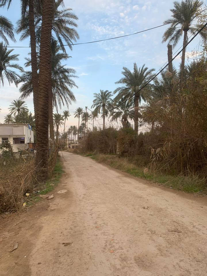 قطعة ارض زراعي سند 25 المساحة 300 متر ركن على شارعين الموقع شفتة قرب النهر العريض واصل ماء وكهرباء للاستفار الاتصال على الرقم ***********
