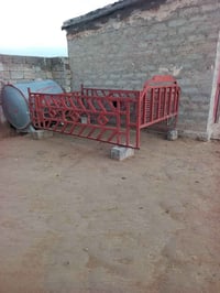 محجل للبيع مال فونتيره 07826870642