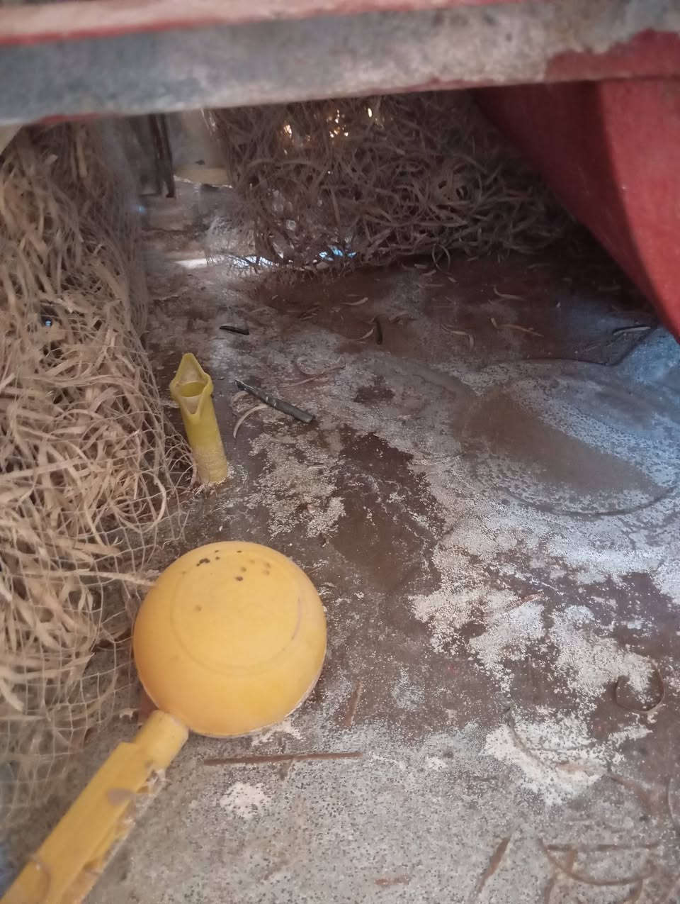 مبردة البيع سعر 65


**إذا كنت صاحب هذا الإعلان وتريد حذفه لأي سبب، رجاءا أرسل رسالة إلى الدعم الفني**