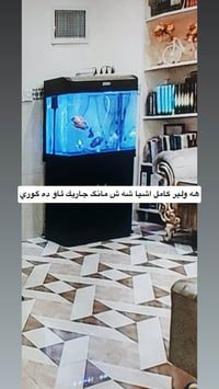 كامل • ديكور • سنغافورة