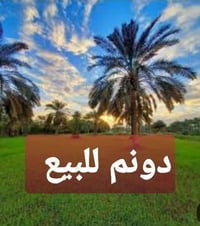 دوانم • الزنبرانيه • سعر مناسب