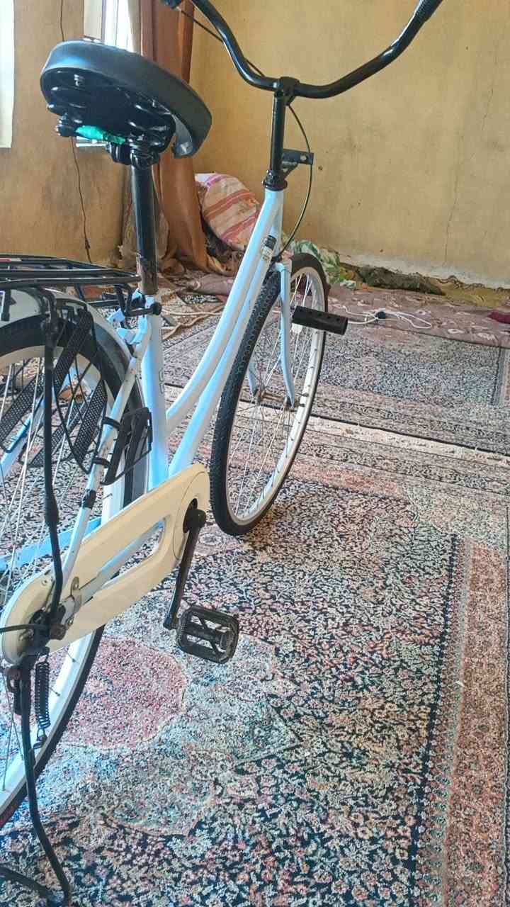 105 بمجال السماوه الخضر بايسكل26 2022 قمراوش كل شيء


**إذا كنت صاحب هذا الإعلان وتريد حذفه لأي سبب، رجاءا أرسل رسالة إلى الدعم الفني**