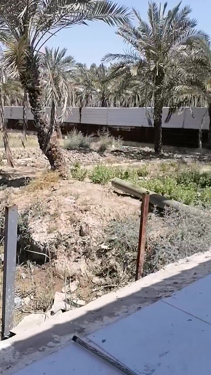 دونم طابوزراعي وطابو عراقي للبيع ادونم مزروع برحي وشجار وبي حوض ماي حلو وعلى شط مباشر كافت الخدمات للاستفسار الاتصال على الرقم *********** مكان كلش حلو ومرتب ابوالخصيب طريق ابوكوصرا يم سنتر طه وسعر على الخاص جدن مناسب
