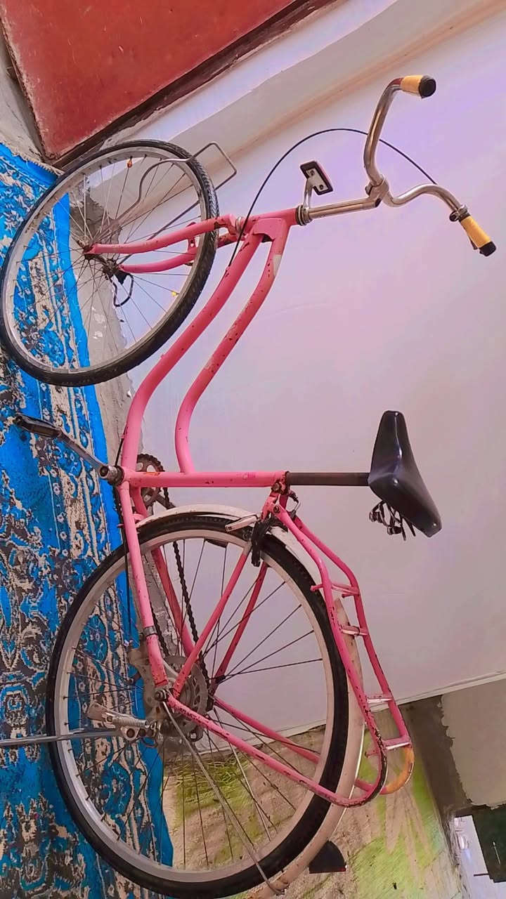 السلام عليكم باسكل للبيع
السعر30 قفل/مكان بقضاء النصر/ حي العدس


**إذا كنت صاحب هذا الإعلان وتريد حذفه لأي سبب، رجاءا أرسل رسالة إلى الدعم الفني**