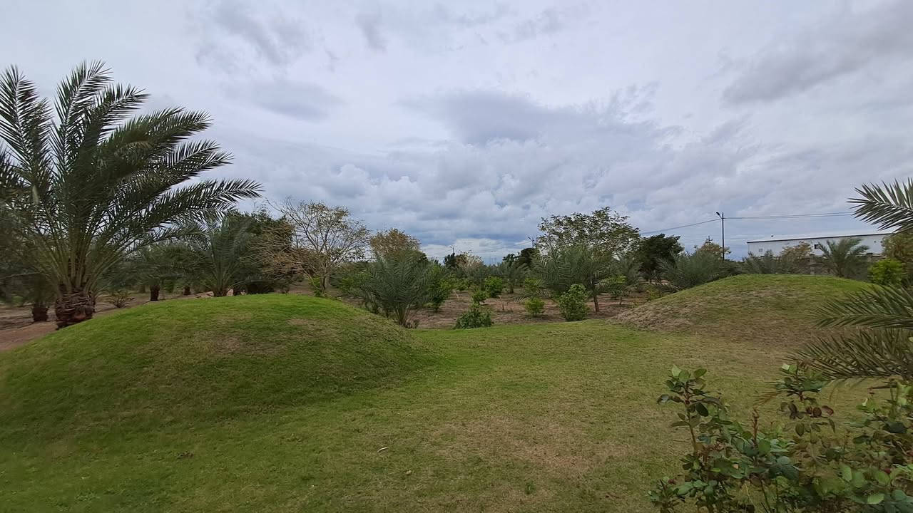 للبيع للبيع 
مزرعة   ١٥   دونم طابو زراعي تحويل مباشر   تقع على السريع الدولي بغداد  انبار مقابل جامعة الفلوجة  واجهة ١٠٠ متر مباشر على السريع.   المزرعة تحتوي على دار عدد ٢ مع استراحة كرفانات وخيمة كبيرة مجهزة بلكامل مع جلسة مثمنة سكيورتي  المزرعة فيها جميع الخدمات ماء وكهرباء مزروعة بكافة انواع النخيل الممتاز وكافة الفواكه  مسيجة بلكامل وتحتوي على اسطبل خيول مع محمية حيوانات . للاتصال والاستفسار

 ***********
 وات ساب 
***********
