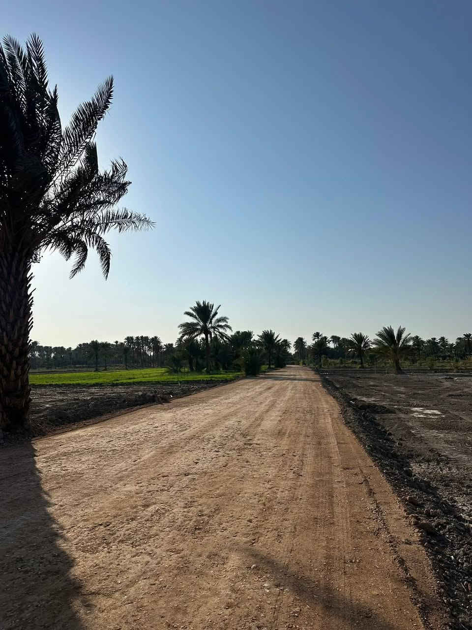 آخر 4 دوانم بلأرض وسعرهن كلهن ب 32
يعني ال 4 دوانم كلهن ب 32 مليون فرصه
ذهبيه جنس الارض طابو زراعي سند 25
حق التصرف والارض على شارع 10 متر
وواجهية الدونم الواحد 45×55 يعني مربع
العنوان تاجي سبع البور منطقة الشيخ عامر 
بلعيساويه تبعد عن سوك الشيح عامر 12
دقيقه وعن مدينة سبع البور 15 دقيقه 
للاستفسار واتساب ‏‪***********,‬‏
