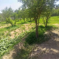 طويريج الخيرات • ٦٢٥م • واجه ٢٥م