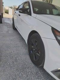 النترا ٢٠٢١ • وارد امريكي • بدون صبغ