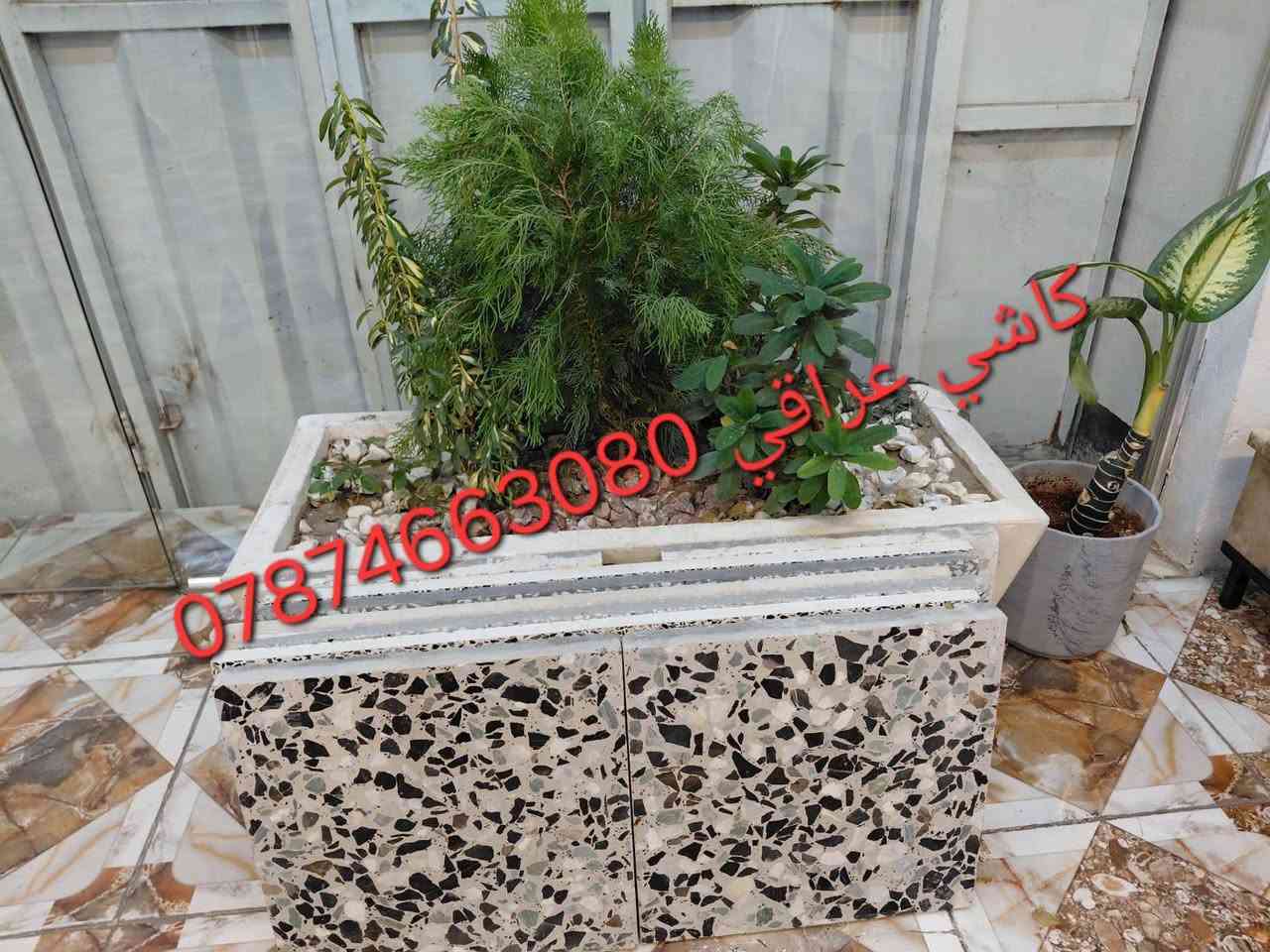 كاشي عراقي متوفر جميع الألوان 
‏السعر حسب الطلب والكميه واللون والمكان 
‏يوجد توصيل لجميع المحافضات وداخل بغداد 

ويوجد   شـــــــــتاكر قياس 80×80
شرط الفحص مختبر 

‏للاستفسار الأتصال ع الرقم ***********يوجد واتساب
