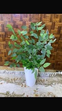 ٤ سنادين • اصطناعية • جديدة استخدام شهر