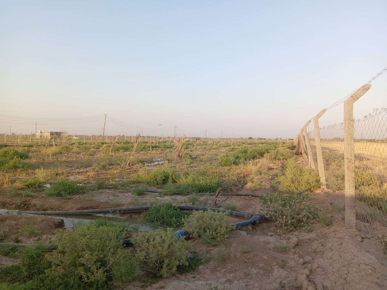 بستان للبيع طابو زراعي سند ٢٥ يقع في الصويرة الغراوية مقاطعه
١٩/٥ الواجهة ٤٠ النزال ٥٥يحتوي مولد ١٦ kv  وعلى ٦٠٠ فسائل نخيل بريم ومكتوم وعلى منظومة ماء سقى بالتقطير يبعد عن حي السلام ٥٠٠م
للاستفسار الاتصال على الرقم
***********
