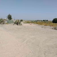 البوجراد • ١٧٠٠م • سند ٢٥