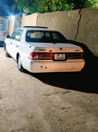 رأس الثور • مكفول • نجف