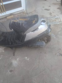 منغولي • عطله • للبيع