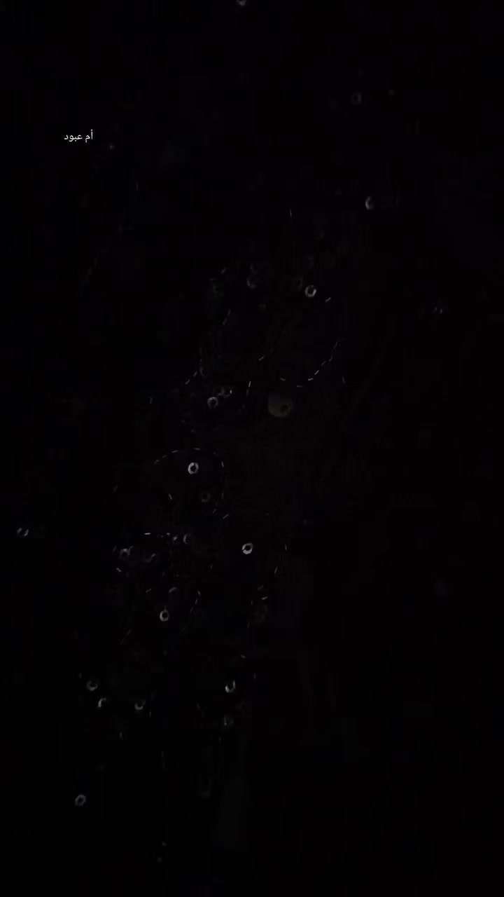 هلو بنات
رجعت نشرتة بسببة الوعود الكاذبة

للبيع جديد شتريتة ب90 اريدة ب45  مكاني بغداد حي القاهرة


**إذا كنت صاحب هذا الإعلان وتريد حذفه لأي سبب، رجاءا أرسل رسالة إلى الدعم الفني**