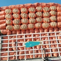 تبن الگونيه • طول ٩٥ عرض ٦٢ • ذي قار