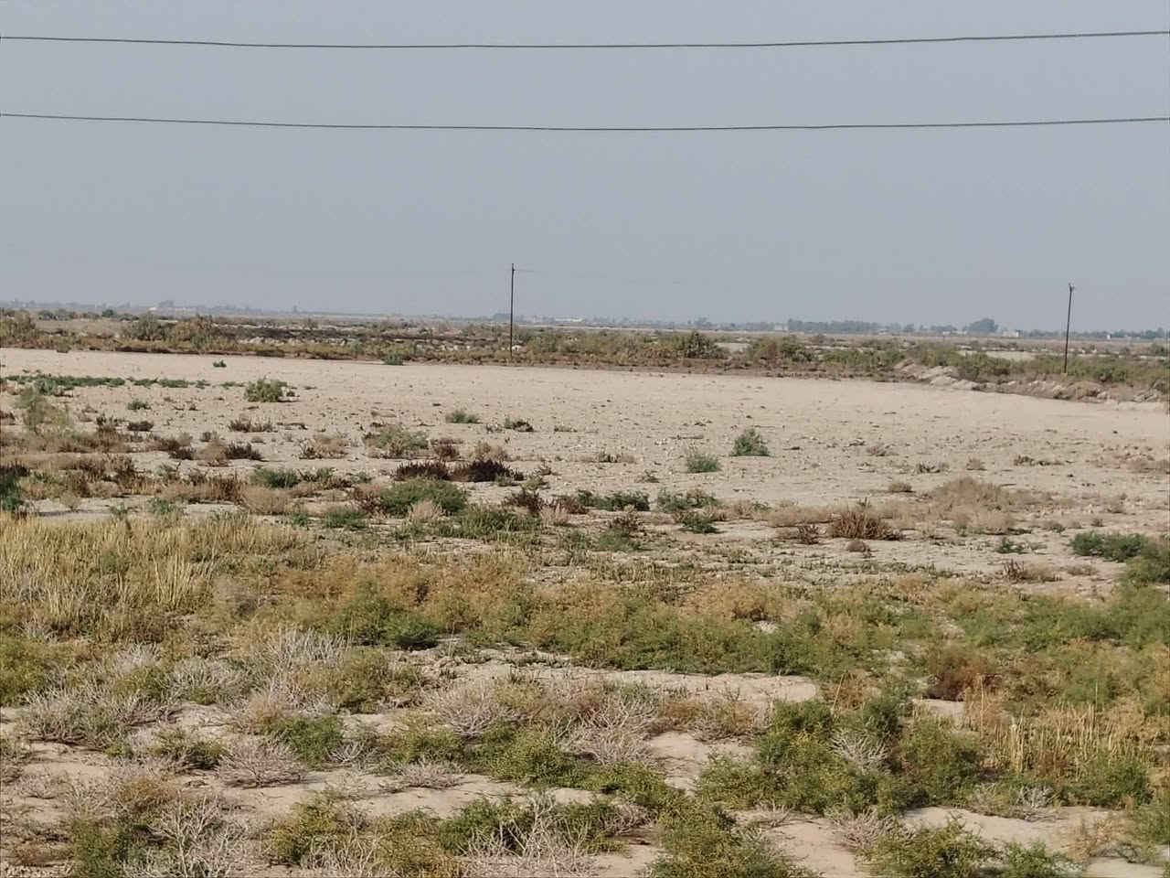 السلام عليكم كاع للضمان ٣٥ دونم متوفر ماء كهرباء تبليط الاستفسار *********** مكان ناصريه قضاء الرفاعي
