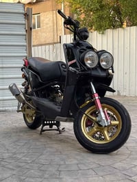 الحلال للبيع 🧿🪬 سكنس جبلي كفاله عامه   مزوعه تزويد   شباب سعرها 700 قف...