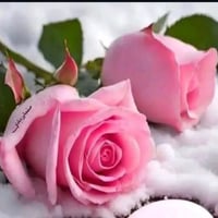 نجف حي السواق • ٦٥م • غرفتين