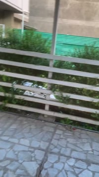 زيونه محله ٧١٠ • ٤٥٠م • ٤ غرف نوم