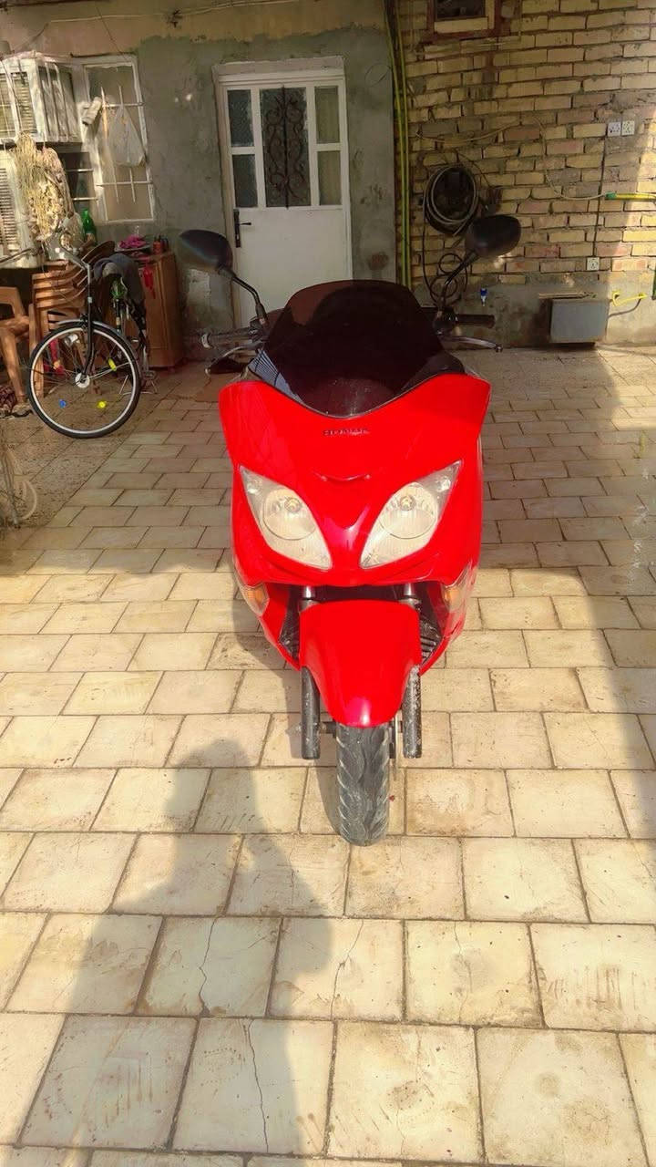 سلام عليكم شباب فورزه 0/8دراجه جاهزه وجديده رايده 1,200وبيه مجال للطيبين العنوان بغداد الشعب رقم الهاتف بس واتساب ***********
