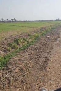 ثنين دونم طابو ملك صرف السند كله خمسه دونم بأسم شخص واحد ابو غريب حي ا...