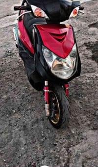 سكنس فحل للبيع 1/صدرby 2/صالنصه صجميه ستيل  3/ويل خلفي مشيف 🕸️ 4/ويل ا...