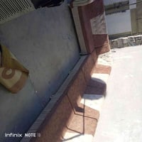 تخم قنفات • نظفت ٦٠-٧٠٪ • يحتاج ترتيب