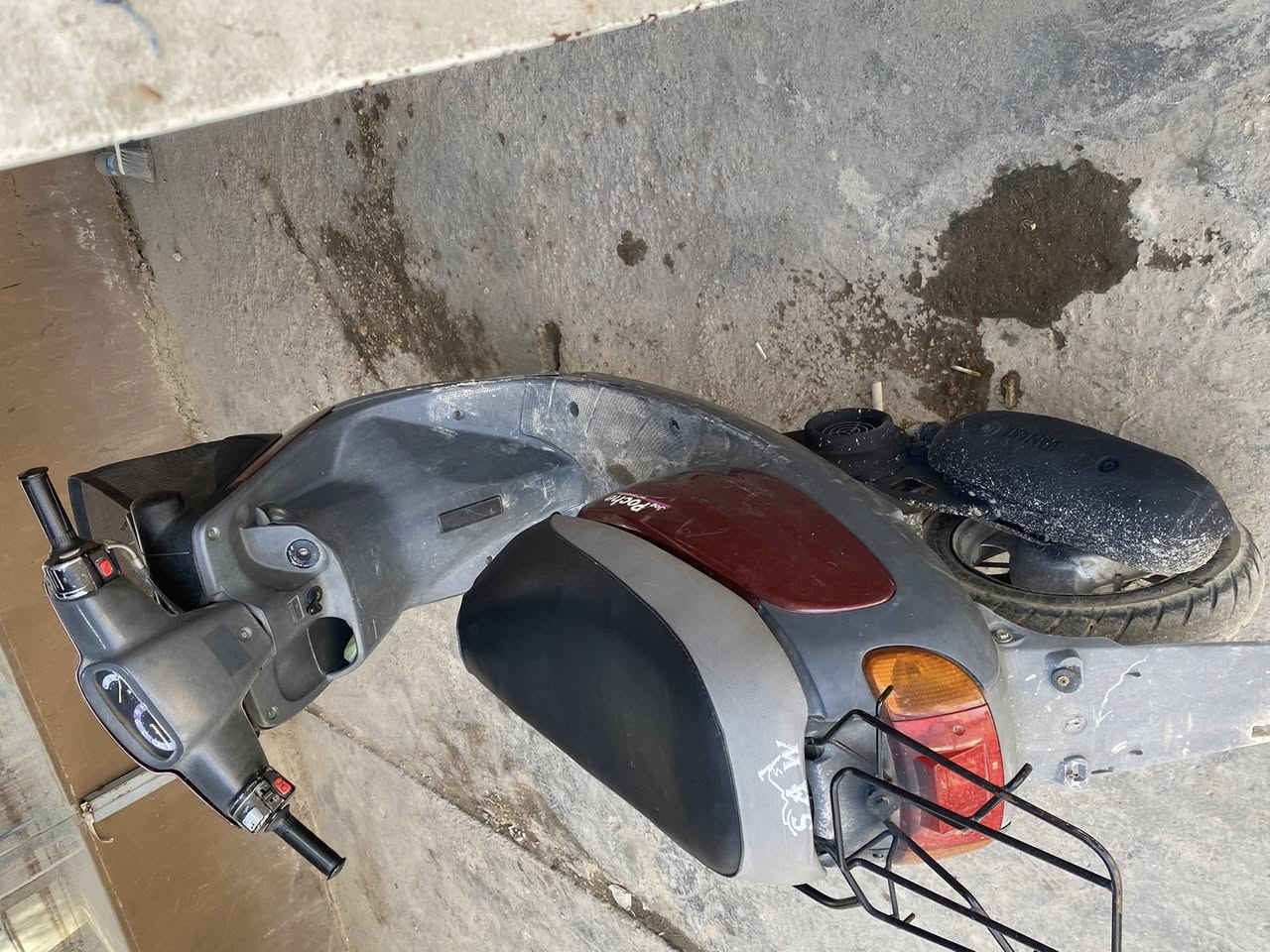 سلام عليكم منغولي للبيع اي نقص مابيهه كلهه شغاله وبلادي سعر ٤٥٠مكاني كربلاء شارع الجاهز ***********
