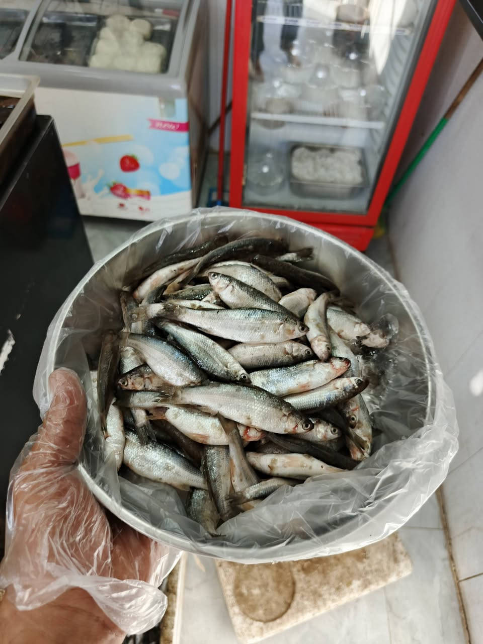حرش كيلوين ب 8 
الكيلو ب 4 
عمي لحكو عرض الجمعه هاذه حرش مال صيد امانه مو مستورد 
الحجز مفتوح حاليا 
توصيل اكو  
توصيل اكو
***********
*********** واتساب
العنوان الديوانية سوق العروبه مقابل صيدليه الغيث الفلكه النافوره طرشي رمانه قرب مأكولات المصلاوي
