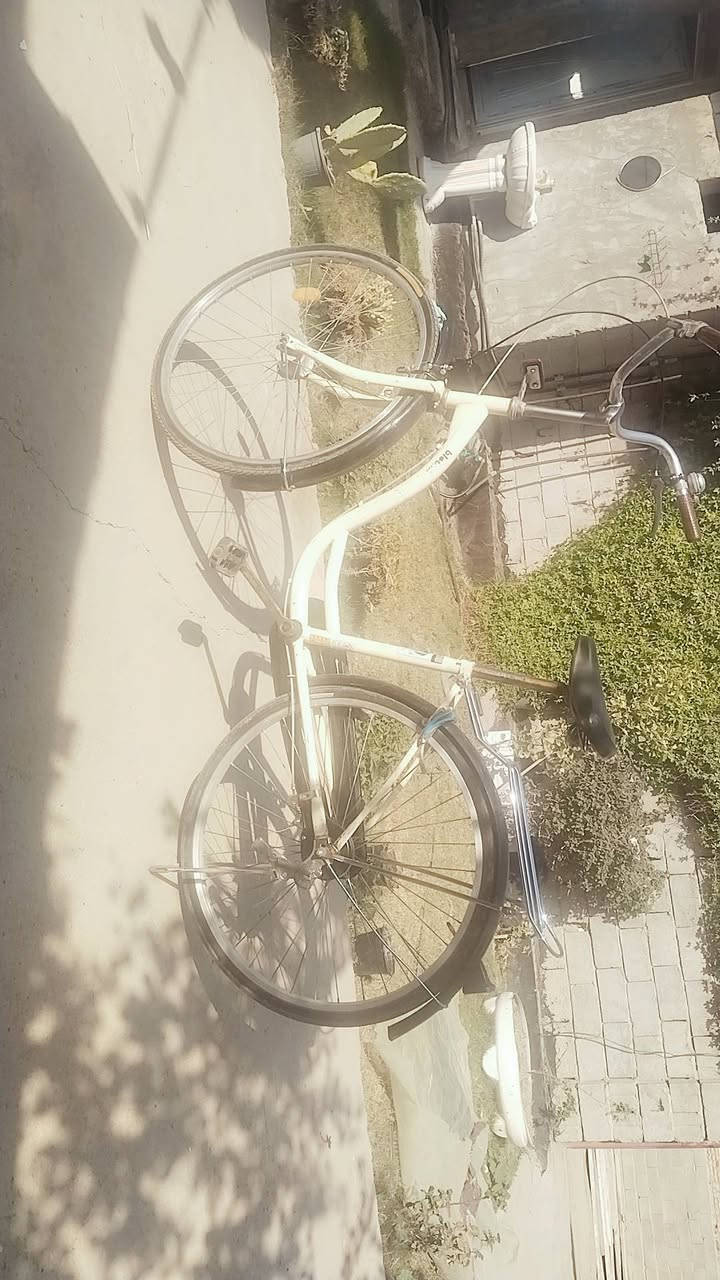 اسلام عليكم باسكل بطه ياباني اصلي للبيع نضيف كلش تايرات چوابه بريكات امامي خلفي كله جديد ونضيف   كله شغال مابي شي ماشغال مكان بابل قرب العلويه شريفه لأستفسار خاص او ***********
