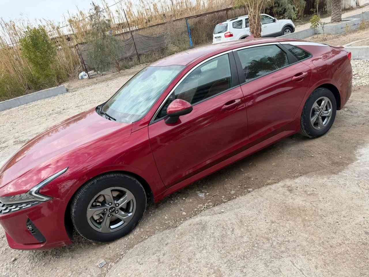 سلام عليكم
K5/موديل 2021

محرك 1600تيربو

معوقين بعدسنه تصيرحره

وكاله عامه 

ترهم مراوس حسب القناعه 

اذماليبومعوقين ترهم 

عنواني واسط قضاءالزبيديه 

***********

سياره جاهزه 

من كلشي ء

***********

اسيا بي وات ساب

السعر 155$
