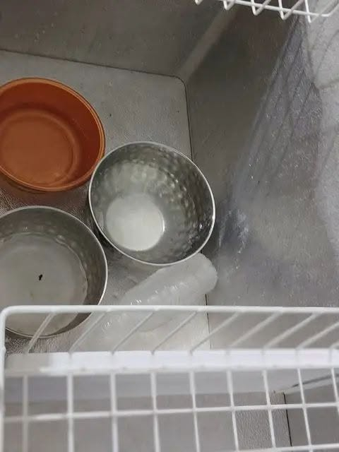 لبيع كلمن وسعره مكاني النجف


**إذا كنت صاحب هذا الإعلان وتريد حذفه لأي سبب، رجاءا أرسل رسالة إلى الدعم الفني**