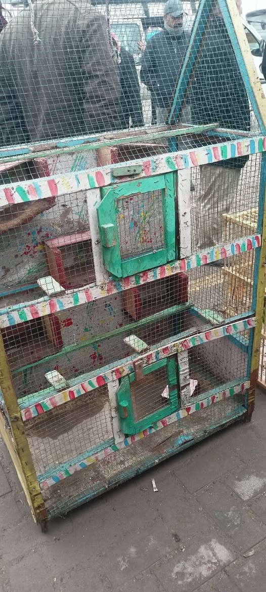 للبيع قفص بلابل حجم كبير
*********** /// 7782059257
