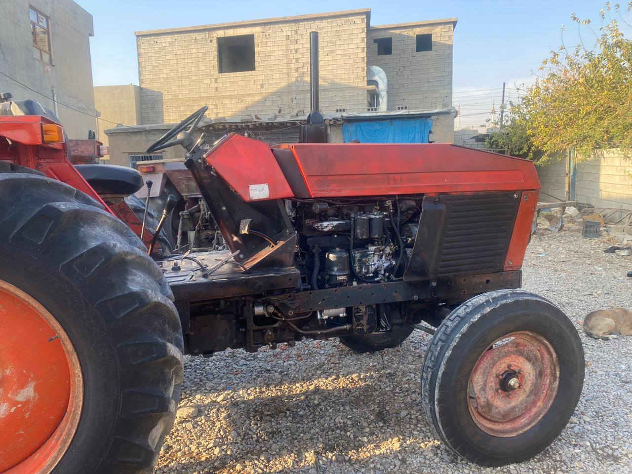 عنتر للبيع موديل 88 رقم نينوى سنويه الاستفسار على الرقم السعر.      ***********
