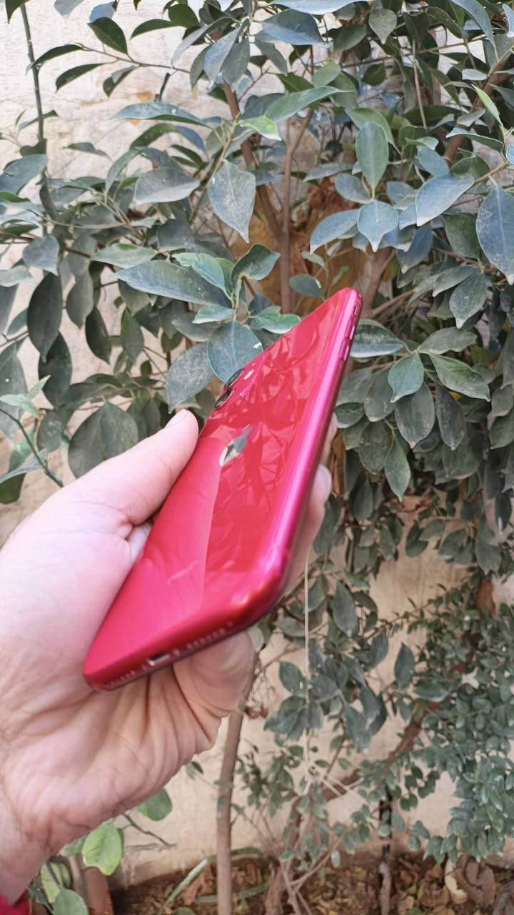 ايفون 11
نموذج A 
ذاكرته 128
بطاريه71
مستبدل شاشه فقط+ فيس ايدي وكف 
جهاز نضيف كله شغال شعجبك فحص 
مكاني بغداد 
سعر 190بي مجال قليل


**إذا كنت صاحب هذا الإعلان وتريد حذفه لأي سبب، رجاءا أرسل رسالة إلى الدعم الفني**