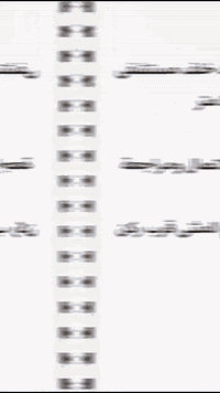 السلام عليكم 
بيت للبيع في حي البريد خلف مستشفى الزهراوي المساحة 306 متر 

للتواصل والاستفسار الاتصال ومراجعة المكتب 
العنوان: الموصل شارع المثنى قرب ركن الكيك
‭0774 086 7848‬
 #عقاراتي #بغداد #استثمار #عقارات #نينوى #استثمارعقاري
