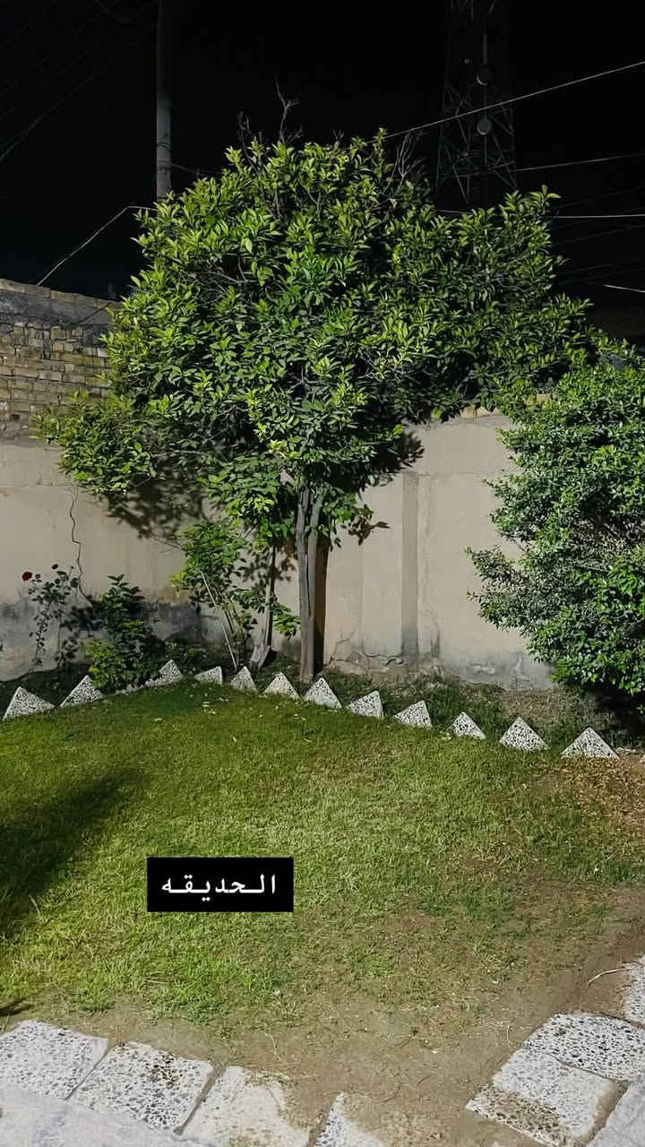 دار للبيع المساحة ٢٥٠ طابو صرف
البيت طابقين الاول كونكريت والثاني بي بيتونه كونكريت 
وغرفتين شيلمان 
المكان الحي العسكري مقابل بيت قاسم الكداد 
بيت حيدر طعمة ابو محمد 
للاستفسار ***********
