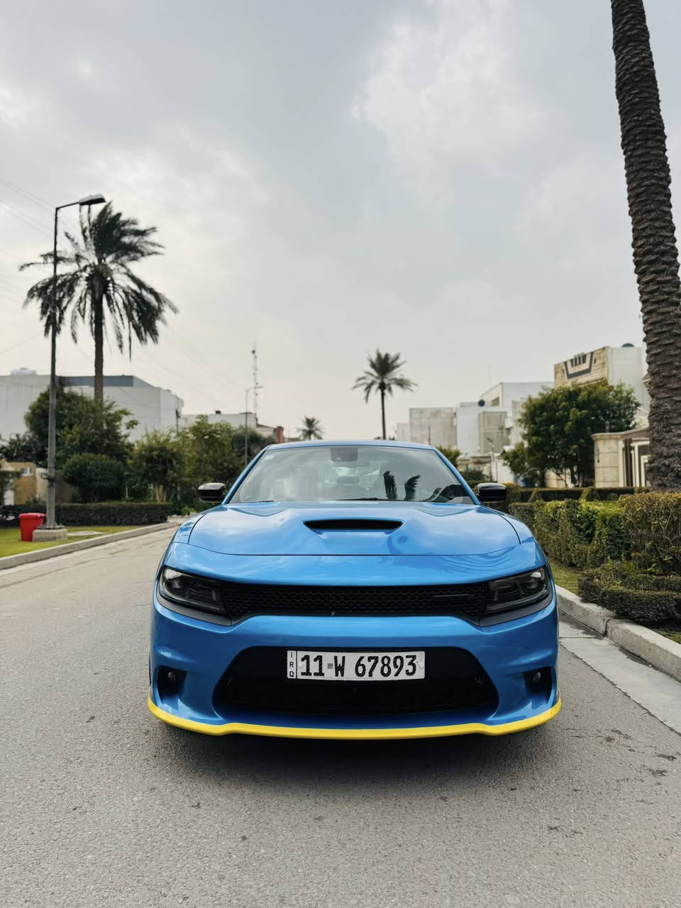 جارجر GT2023 بلاص بلاك ادشن  وكاله هارلم رادار امامي ماشية 12 بحالة زيرو لون البحري المميز  السيارة واحد على واحد ب اسمي ثاني يوم تحويل رقم بغداد    للاستفسار ***********
