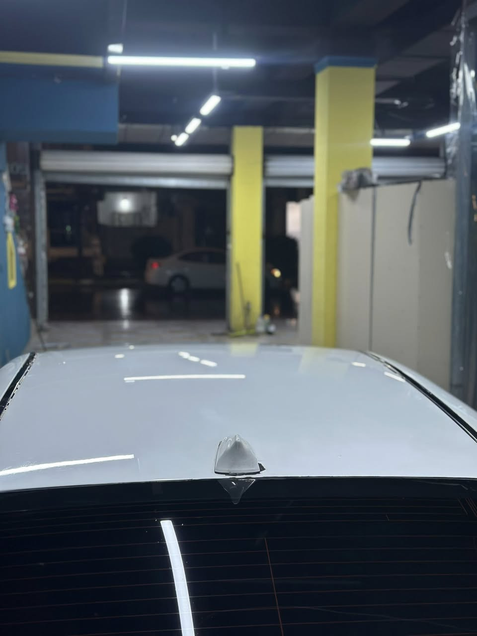 شاهینە 
٢٠٠٥
بۆفرۆشتن 
١٨٢
بلل باکەت
یەک دینار مەسرەفی نییە
سپۆرت
ناو ڕەش
٣ دووگمە
ئاوێنە شەفت
تەقە و ڕەقە بەشەرت
ساج ڕەش
بە لەزگە کردومەتە سوور
سەیارەیەکی تا بڵێی جوان و بەر چاوە
٤ تایەی لۆک
سعر ٥٣ گەڵاو مەجال
53💸
0750 171 5950
